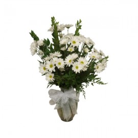 White Daisy arrangement